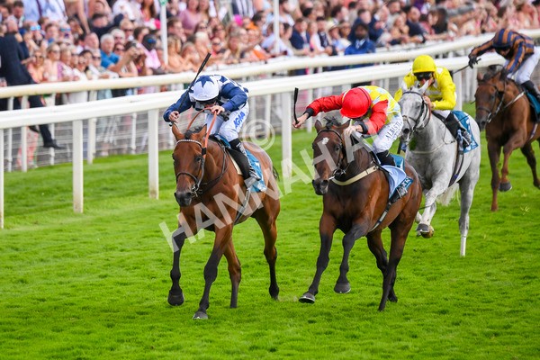 290723-Race 5-Baez-0820 - Race 5 4.35pm Sky Bet Prize Drop Handicap