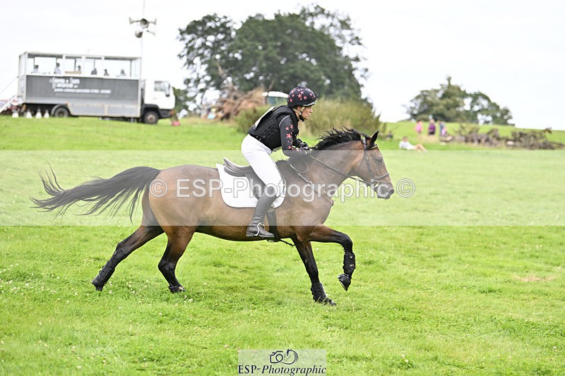 240804-145914-15572 - 557-Jodi_Cameron-WILLOWAY_HANDSOME_HARRY