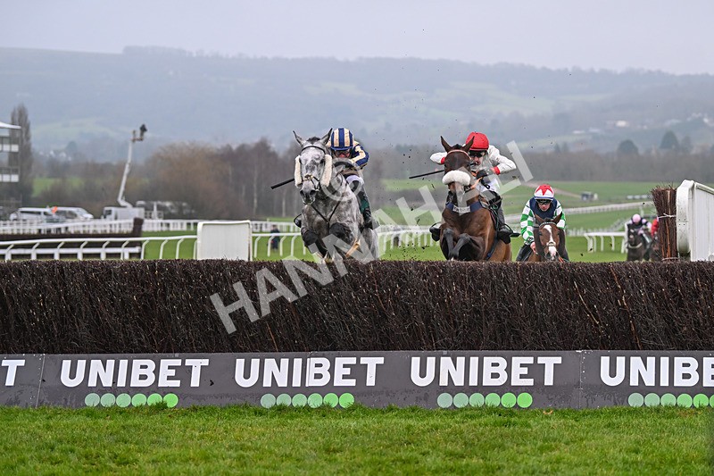 131224-Race 4-King Turgeon-9139 - Race 4