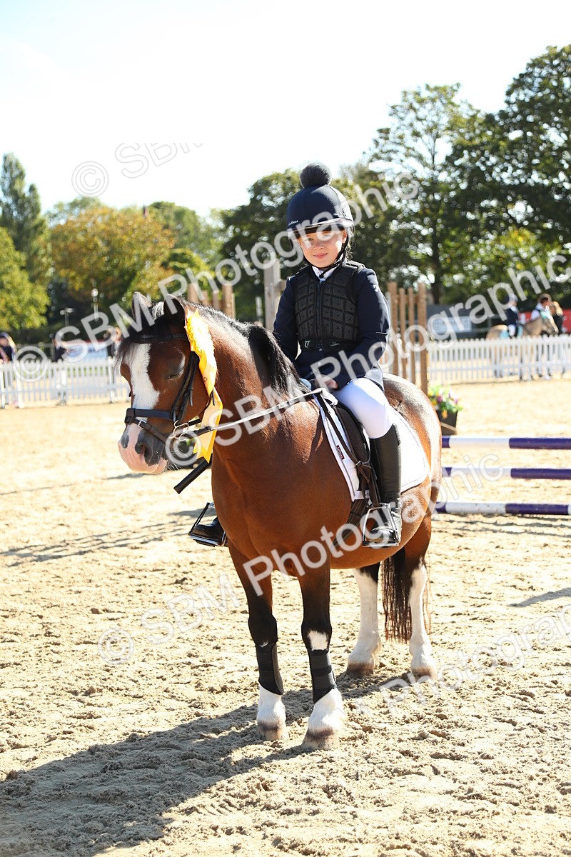 SBM_36037 - J5 - Junior Pony 50cm Championship