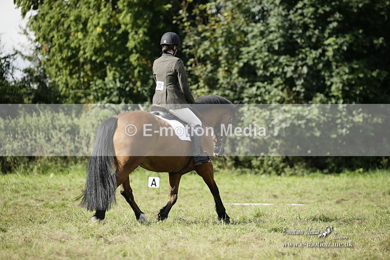 BVRC 120921 335 - Bourne Valley Riding Club UA Dressage & Show Jumping 12/09/21