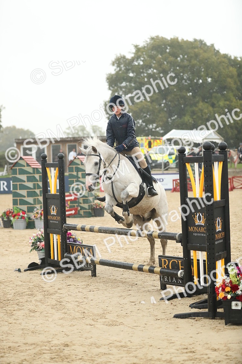 SBM_74272 - Supreme championship Junior Pony 70cm 75cm