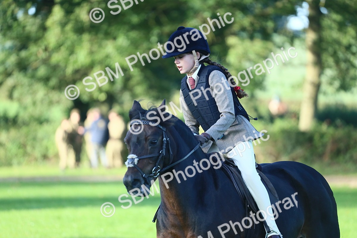 SBM_31918 - S28 - Nursery Stakes Working Hunter Pony