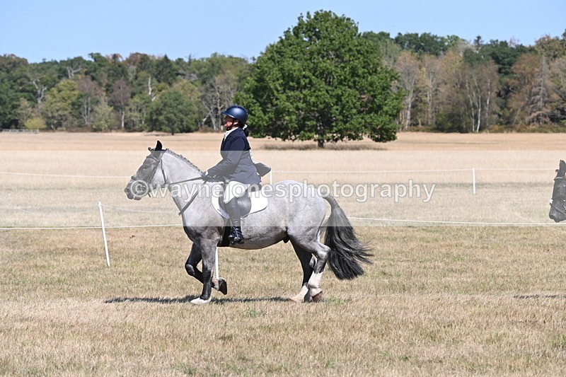 WJ6_8820 - Class 38 Ridden Riding Horse/Pony