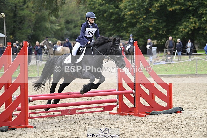 251005A-123221-03828 - Cls 08 Mini 70-75cm