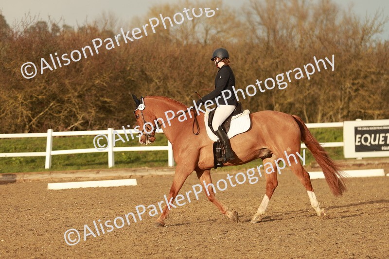 20260314-6466 - CT7 - Elementary 2