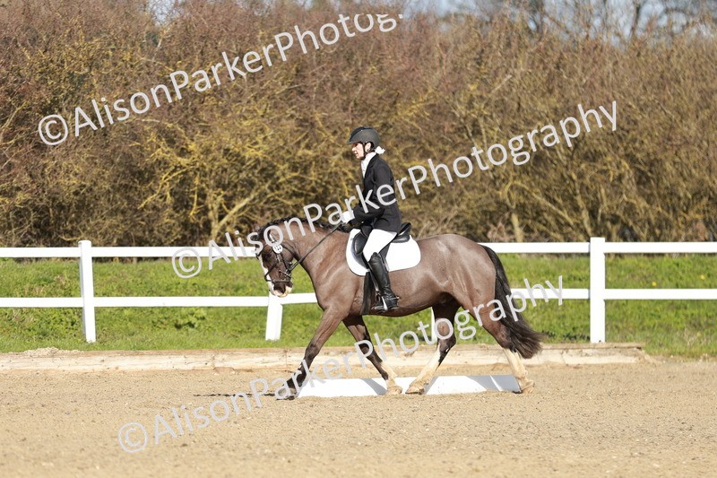 20260314-4342 - DR4 - Prelim 2