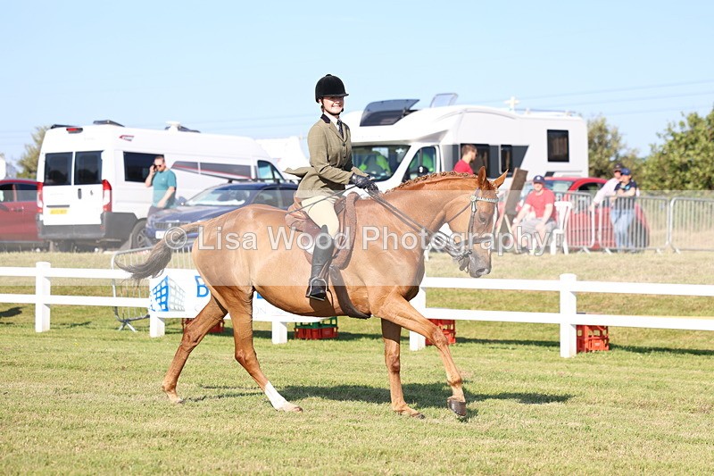 3E7A5339 - Class 2: Rising Star Large Hack/Riding Horse