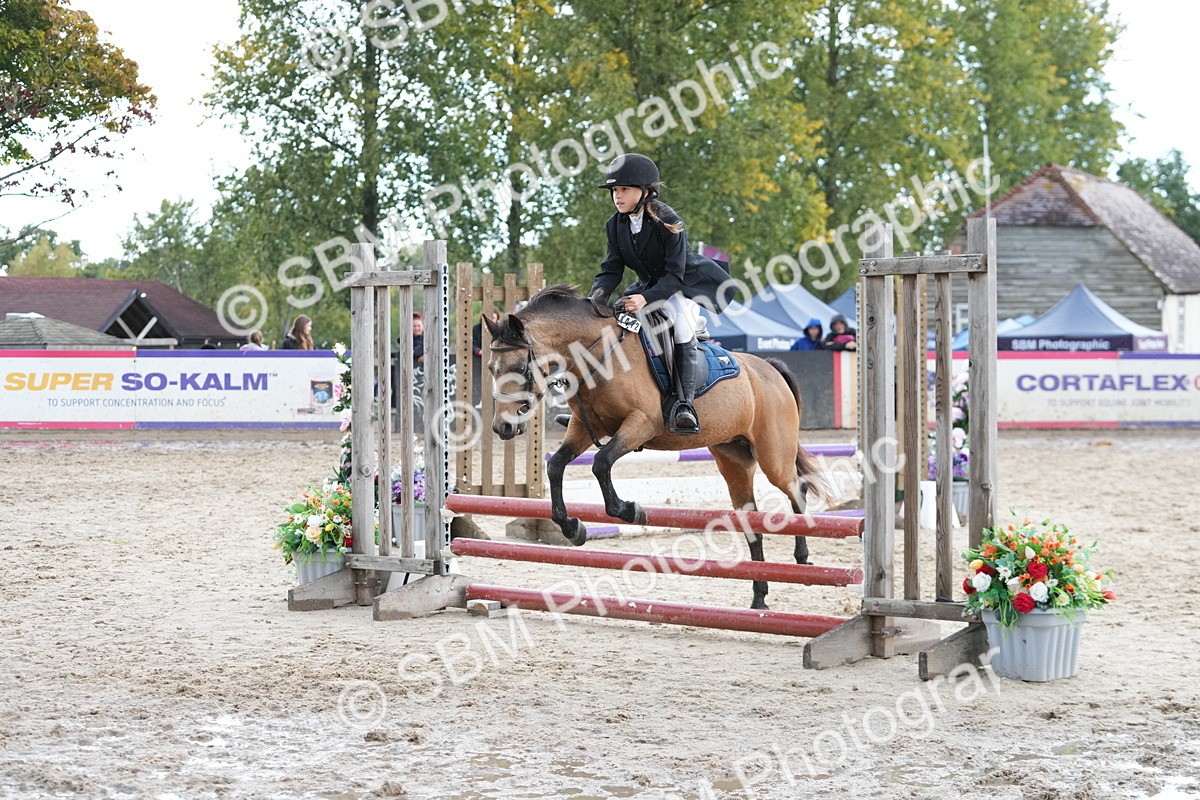 SBM_39894 - J6 - Junior Pony 55cm Championship