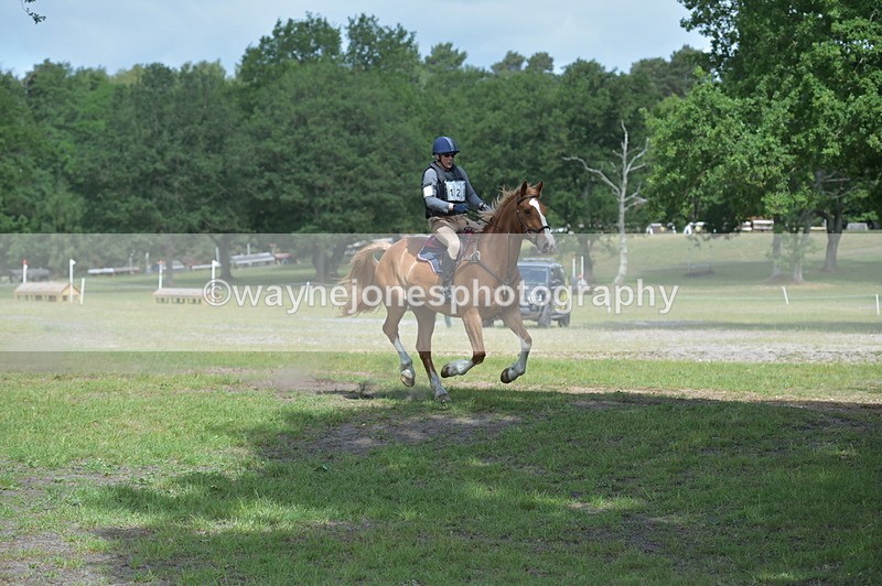 NGP_7140 - Time 11:10 to 11:18