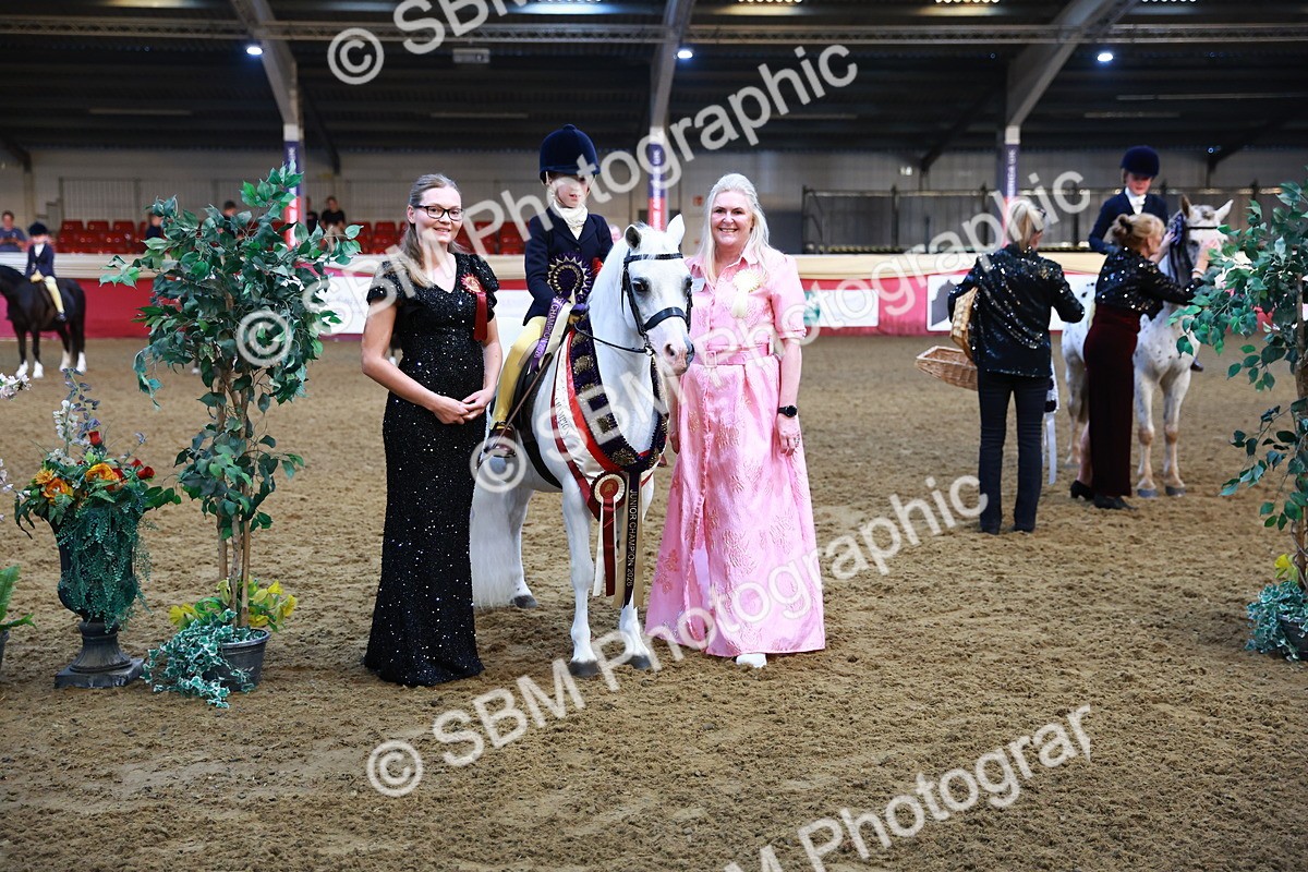 SBM_14621 - Class A - Junior Champ 10 year and Under