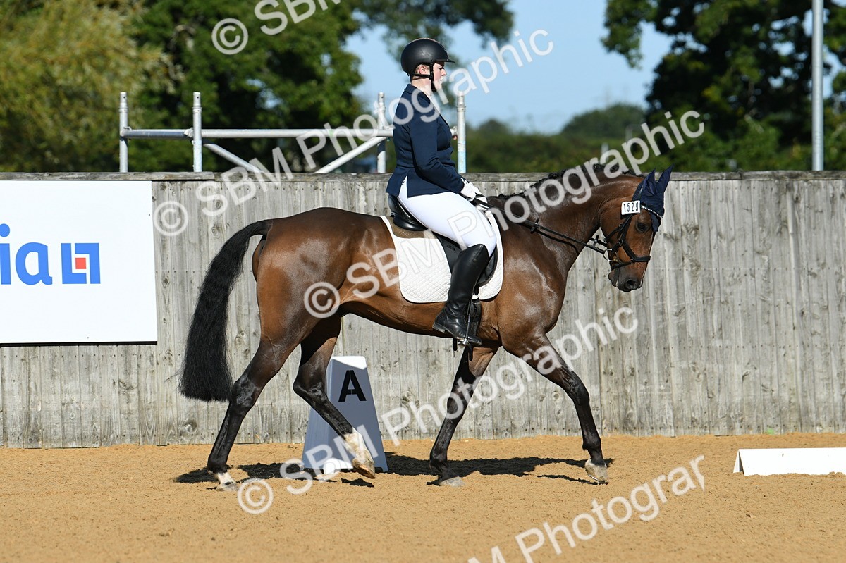 SBM_16159 - D4 - Small Tour Championship - Intro B