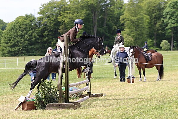 IMG_3188 - Working Hunter