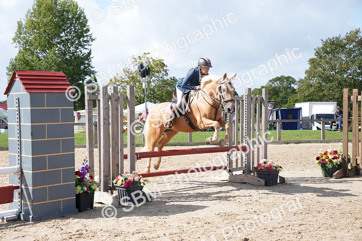 SBM_06068 - J56 - Clear Round 70cm