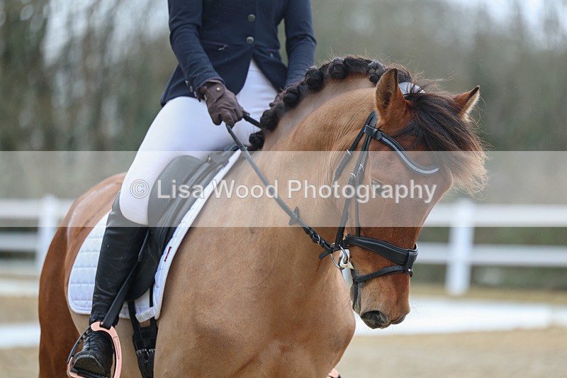 3E7A9582 - Class 2: Intro 1 2024 sec B - part two