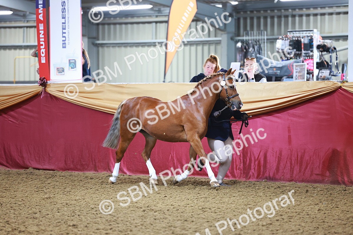 SBM_14667 - Class B - Junior Champ 11 to 16 Years
