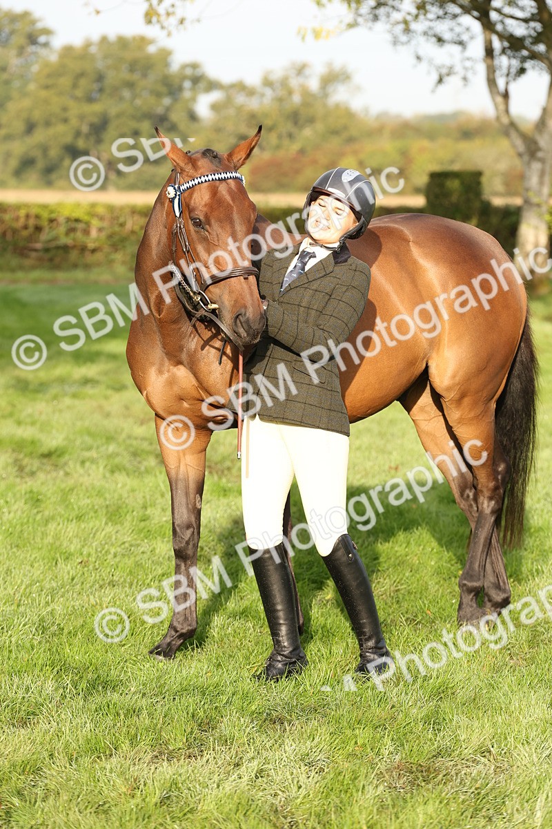 SBM_54973 - S52 - Riding Horse & Hack & thoroughbred In Hand