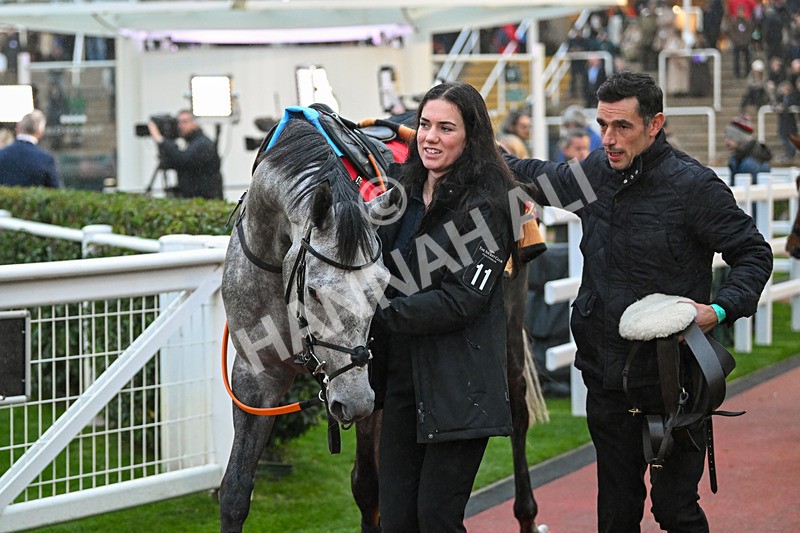 161124-Race 7-Paddock-St Irene-1835 - Race 7