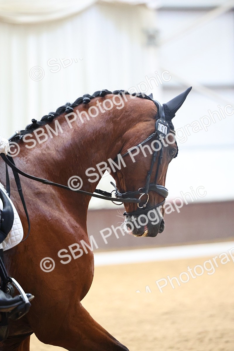 SBM_021836 - Class 14 - N6