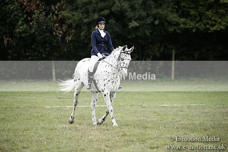 BVR080918 273 - BVRC Novice Dressage & CR 08/09/18