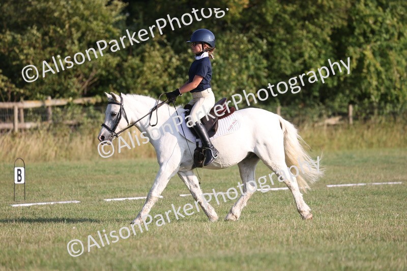 20250731-0220 - Class 2 - Prelim 3