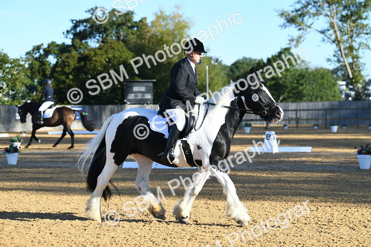 SBM_14428 - D4 - Small Tour Championship - Intro B