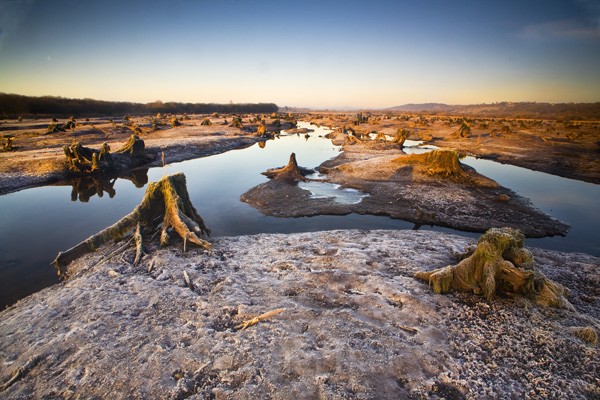 winter sunrise, the gearagh nature reserve, co. cork, ireland.