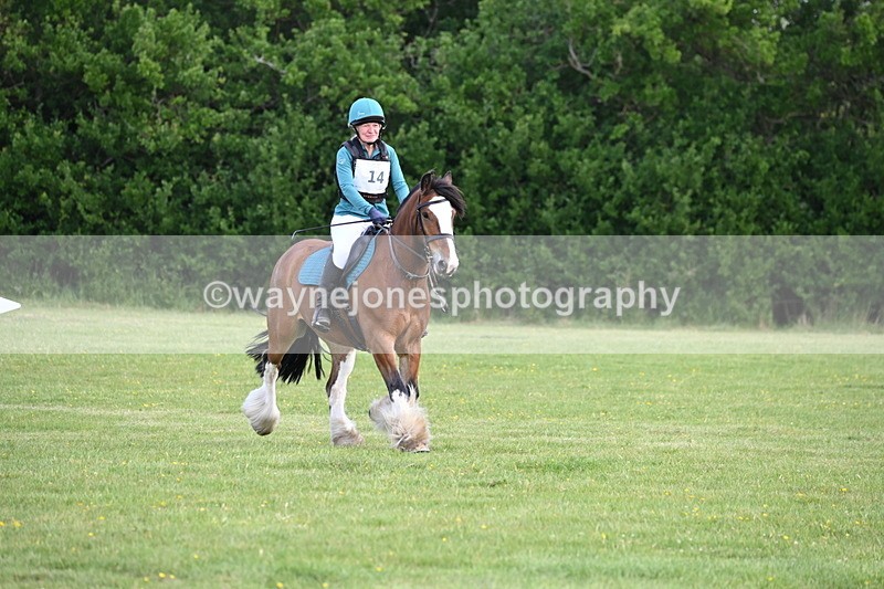 WJ6_2623 - Class 2 40cm