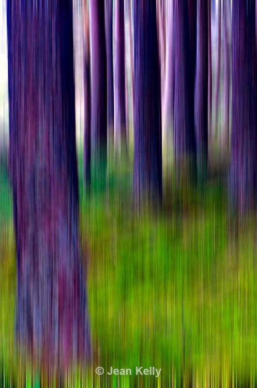 Tree - 0590 motion blur - Motion blur filter effect