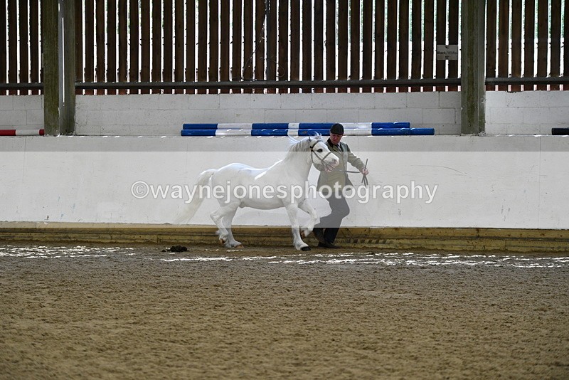 WJ5_5362 - Class 4 In hand M&M - small breeds