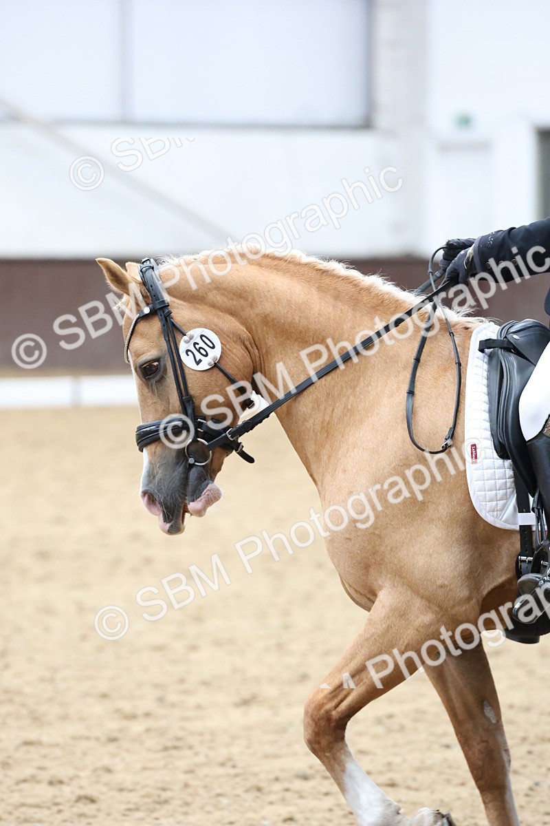 SBM_007567 - Class 23 - Medium FSM Bronze