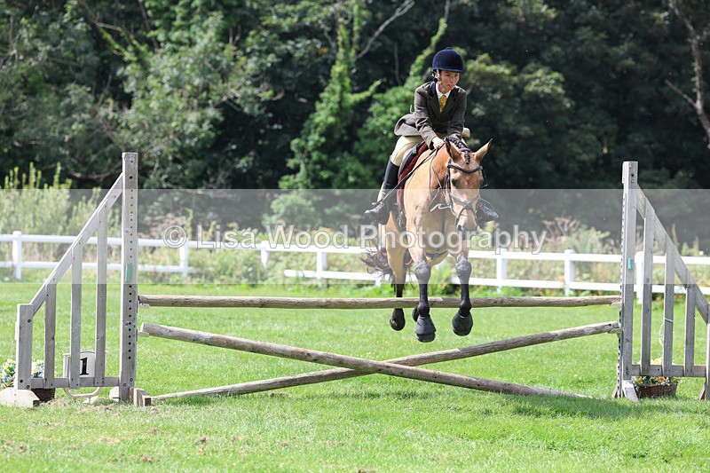 3E7A8879 - Class 6: Open Working Horse