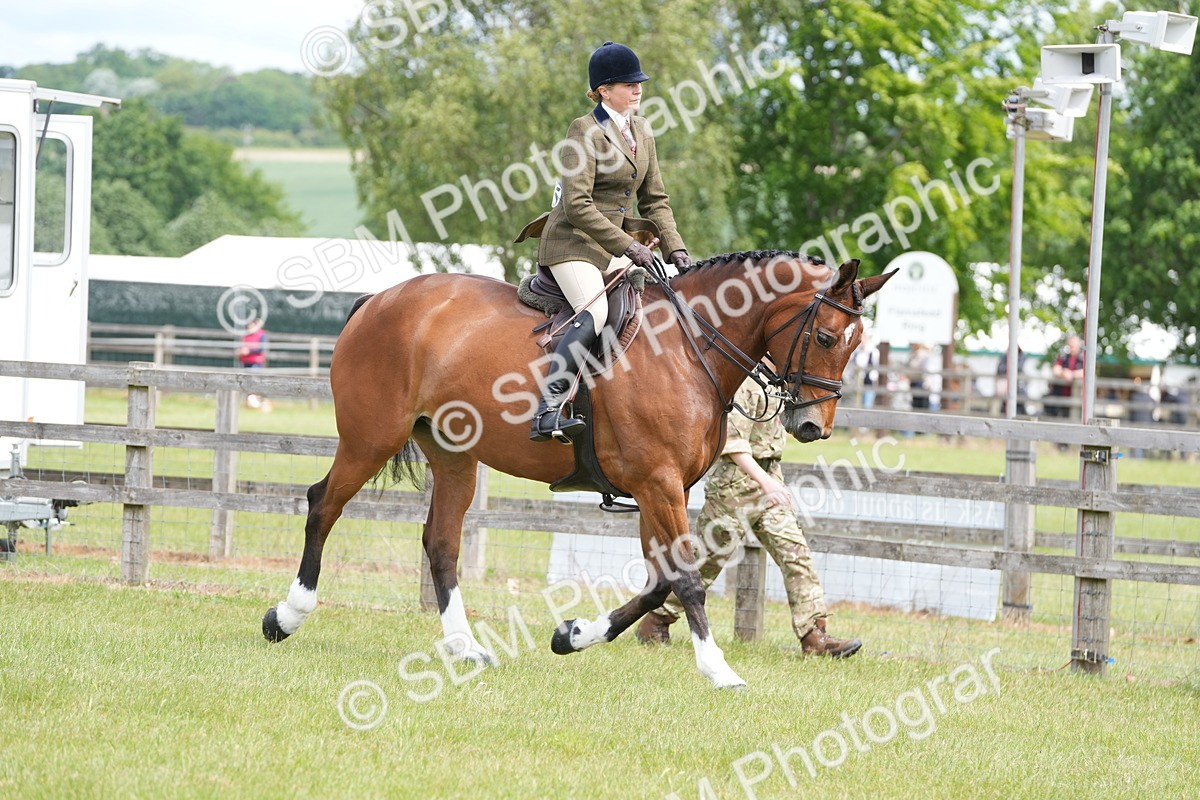 SBM_15002 - Class 100-102 - RIHS Working Hunter