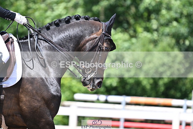 240621A-133719-03397 - Cls 15 BD Music Adv Medium