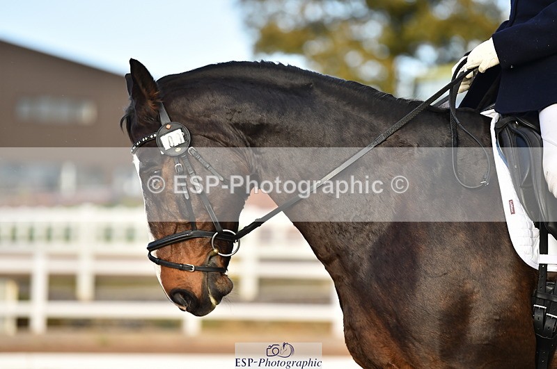 231104A-144720-02164 - Cls 13 Adv Medium 91