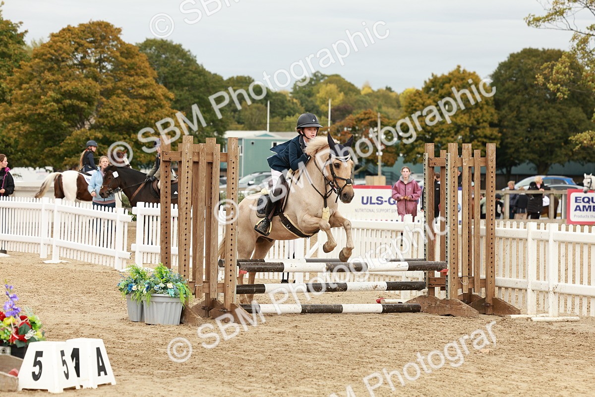 SBM_66857 - J13 - Junior Pony 60cm Championship