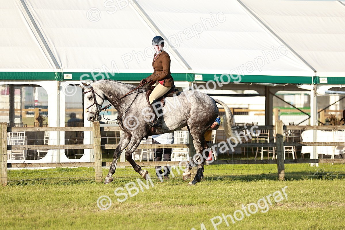 SBM_20470 - Class 117-119 - Sport Horse Working Hunter