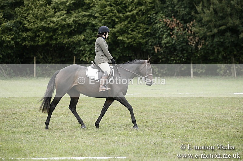 BVR080918 223 - BVRC Novice Dressage & CR 08/09/18