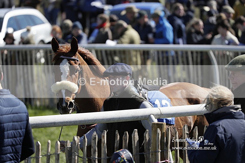 PtP 100423 571 - Old Berkshire Point-to-Point Lockinge 10/04/23