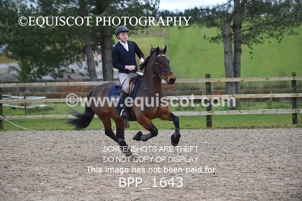 BPP_1643 - CLASS 9 Pony Newcomers/ 1m