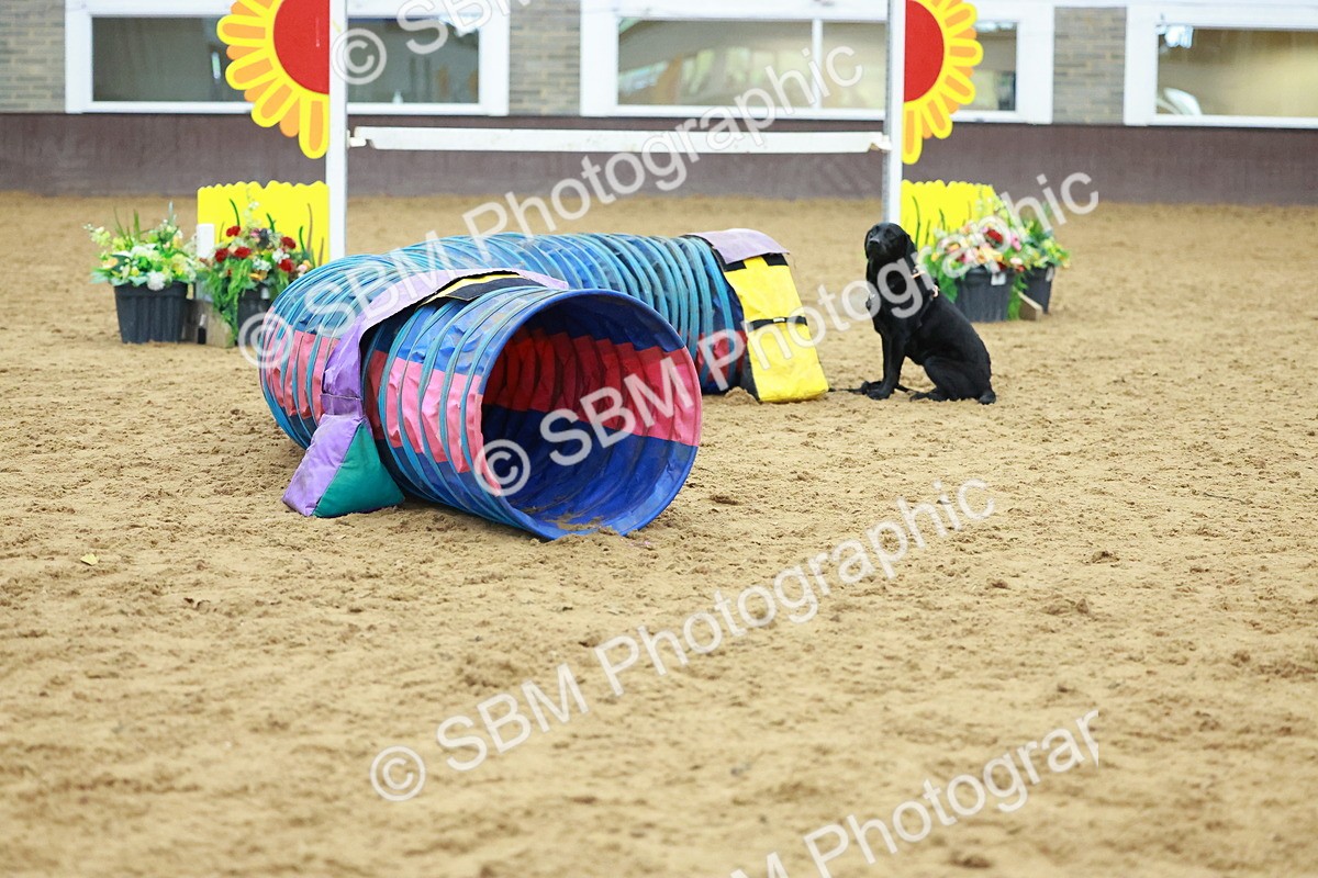 SBM_002453 - Class 3 - Horse & Hound (60cm)