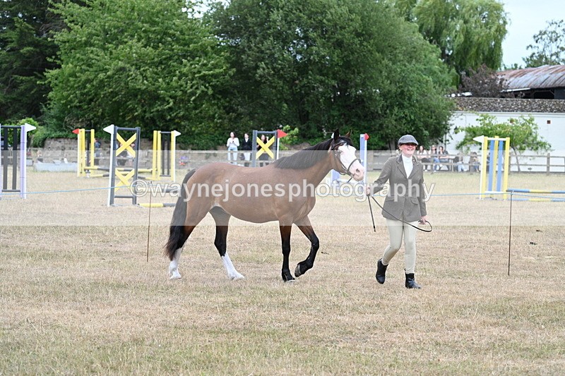 WJ7_8453 - Class 4 Prettiest Mare up to 14.2hh