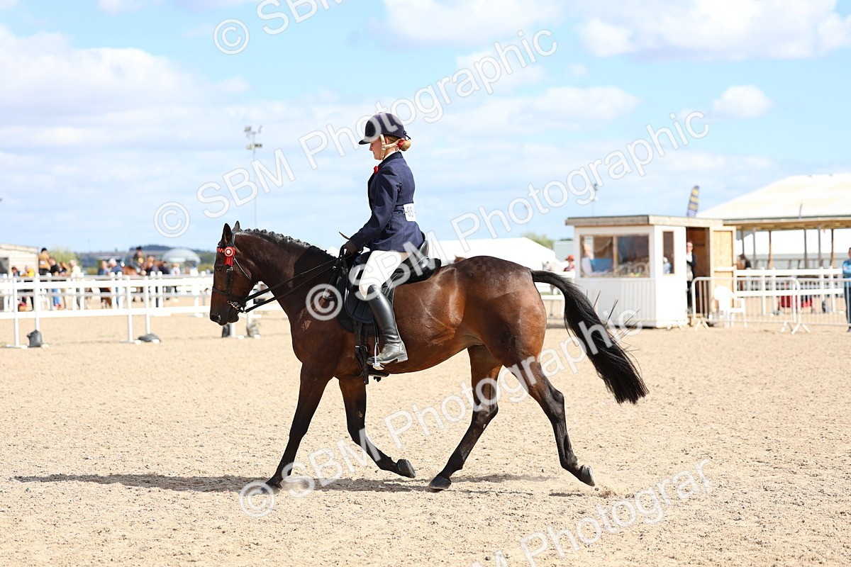 SBM_13280 - Class 311 - Ridden Show Pony Show Hunter Pony