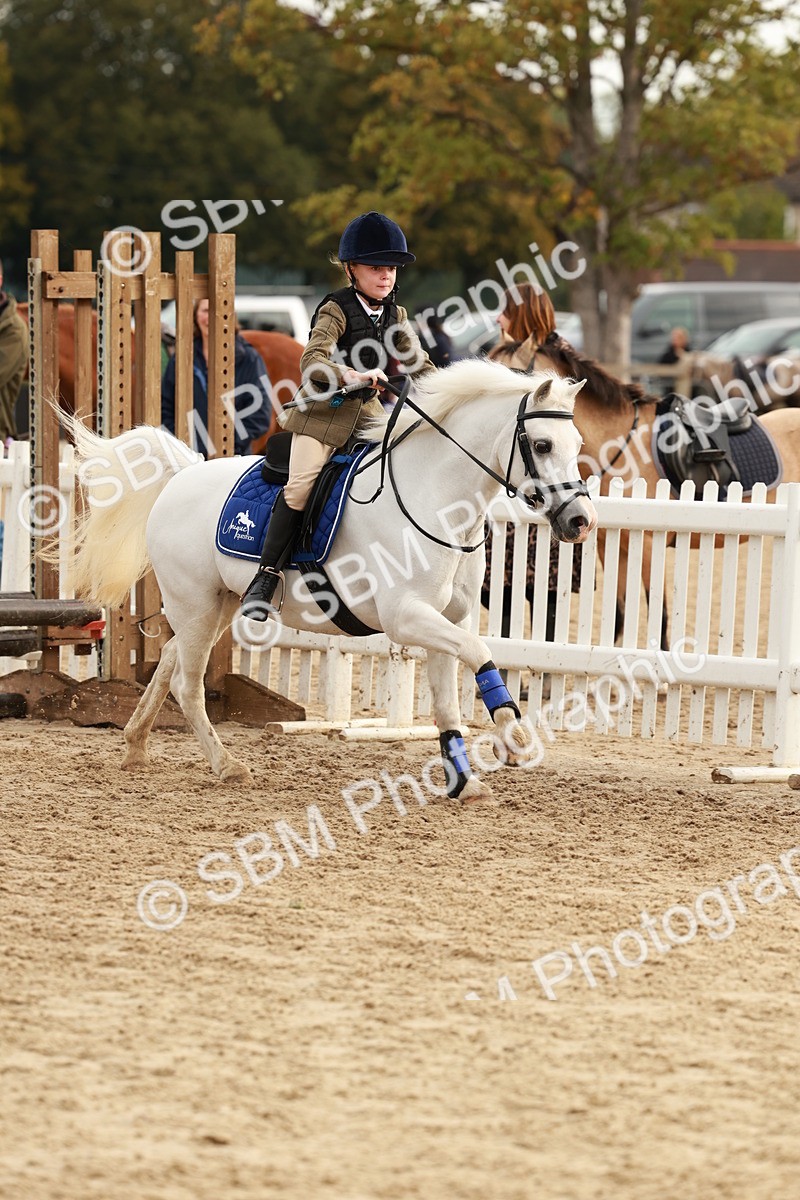 SBM_55786 - J11 - Junior Pony 50cm Championship