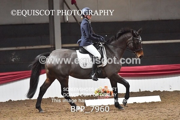 BPP_7960 - ELEM TEST 6