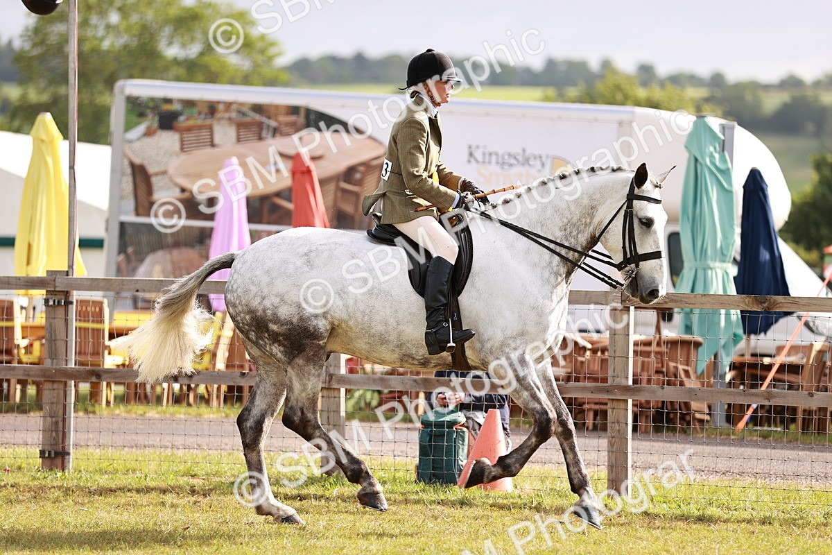 SBM_10832 - Class 81-84 - RIHS Ridden hunters Inc Ladies Hunter