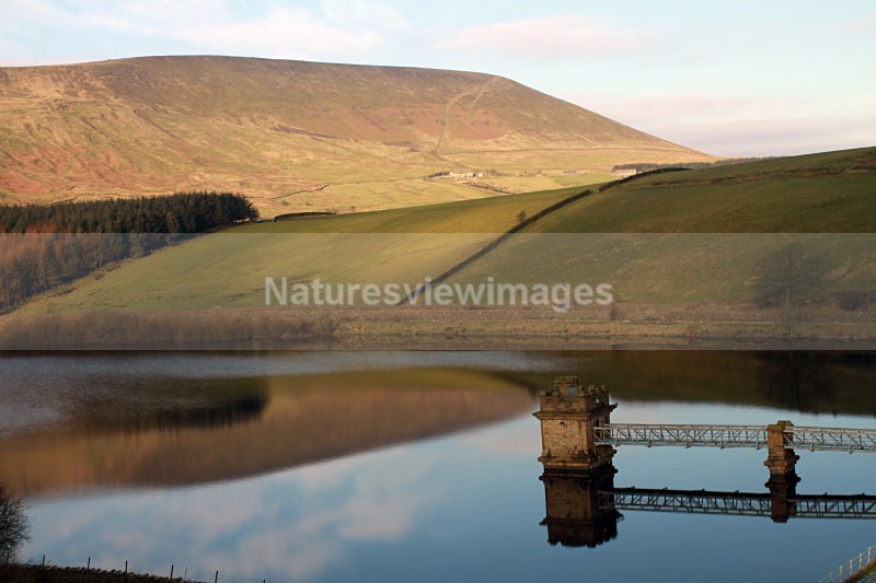 Pendle from Ogden Res - Landscape