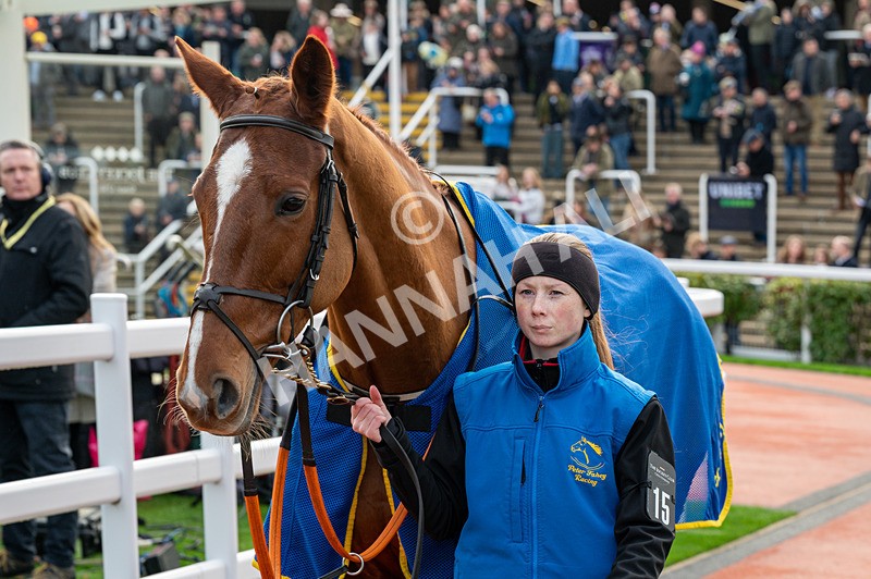 161125-Race 1-Astelia-1189 - Race 1