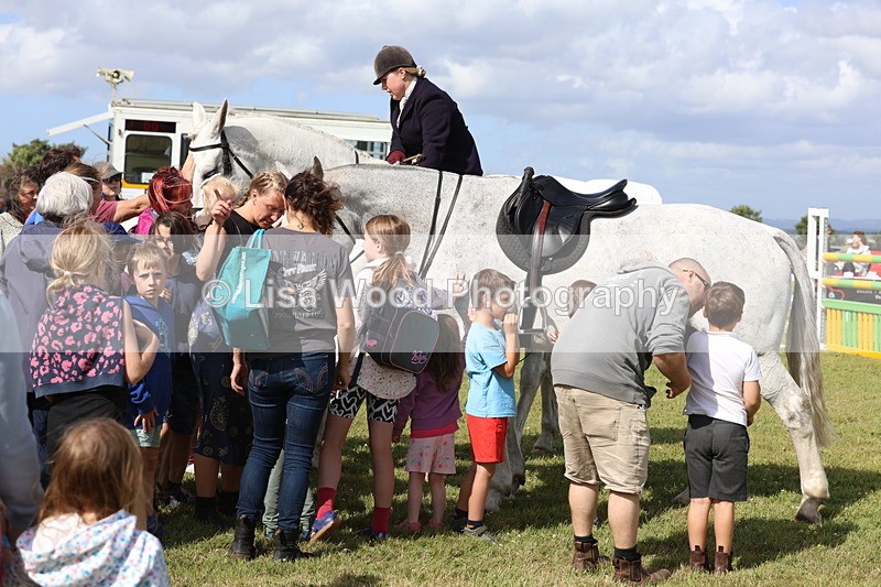 3E7A3417 - Parade of Hounds