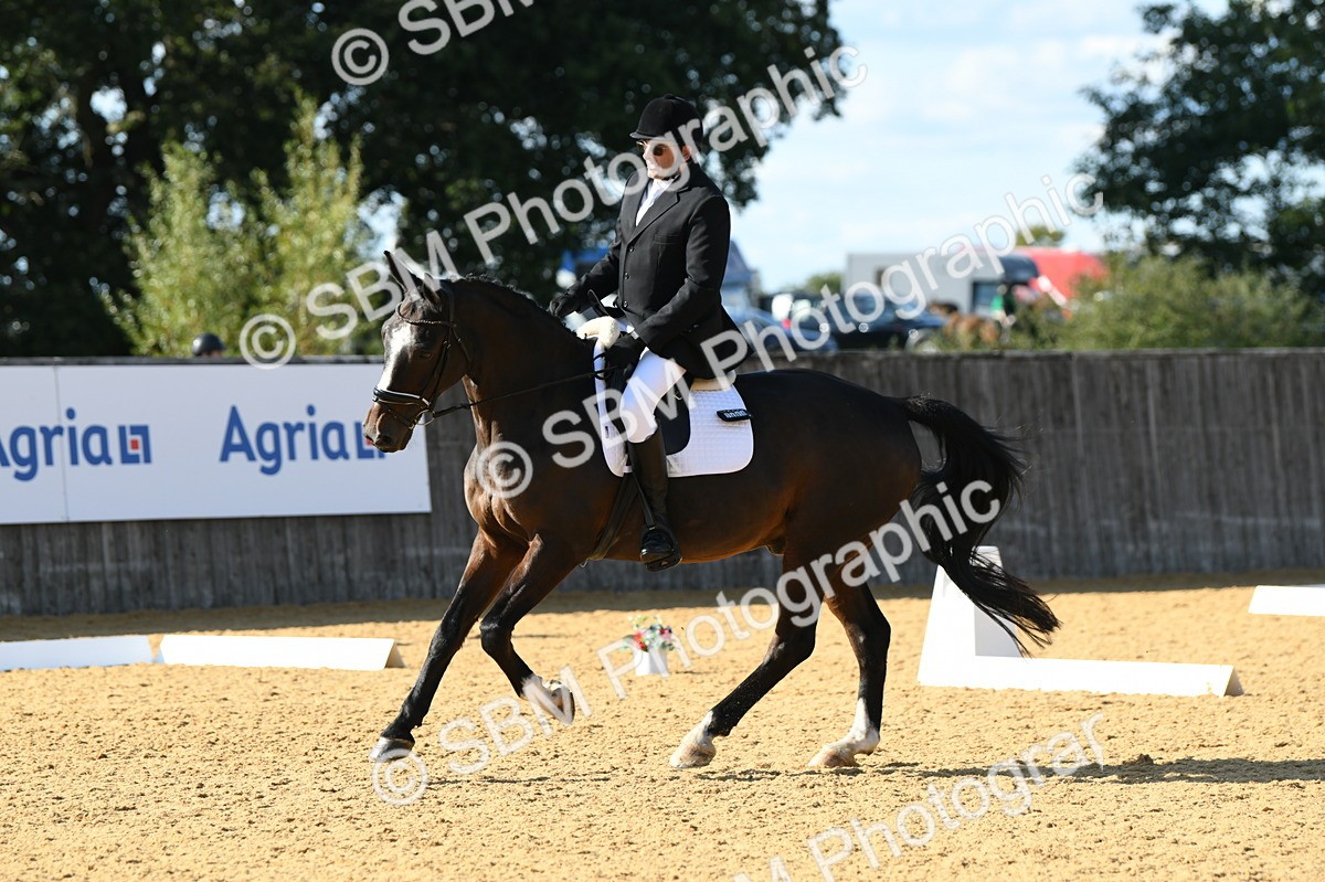SBM_27203 - D16 - Small Tour Championship - Novice 28